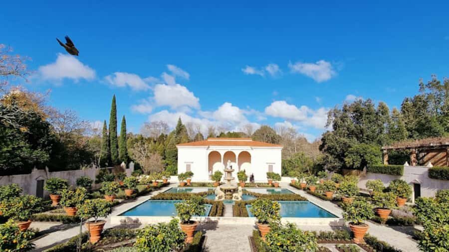 Hamilton Gardens: 30 min Ecological River Cruise - The Itinerary: What to Expect and Why It Matters