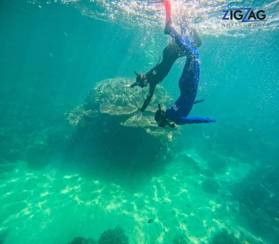 Hamilton Island: Whitsundays Sunset Dinner Cruise - The Return Journey: Stars and Serenity