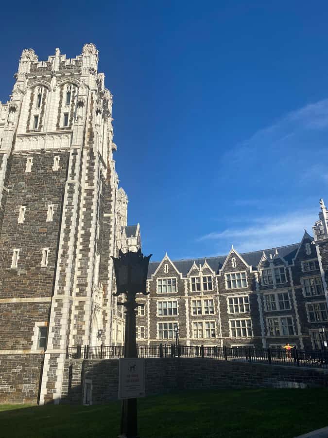 Harlem Tour in French and meet Harlem artist Paul Déo - A Detailed Look at the Harlem Tour Experience