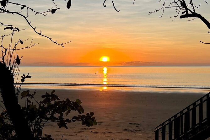 Hartleys Crocodile Adventures Plus Return Port Douglas Transfers - Real Traveler Insights