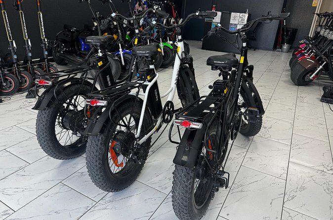 Hiboy EX6 Step Thru Fat Tire Electric Bike - What Makes It Stand Out