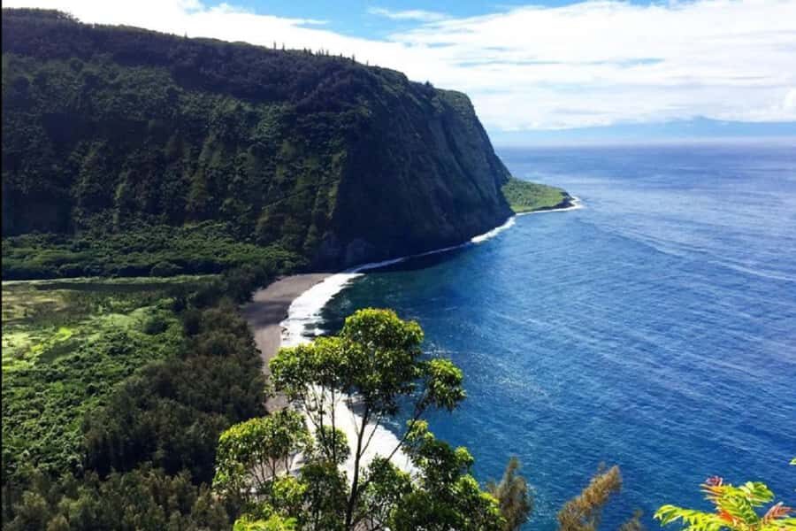 Hilo Bay & Coconut Kayak Adventure - Who Will Love This Tour?