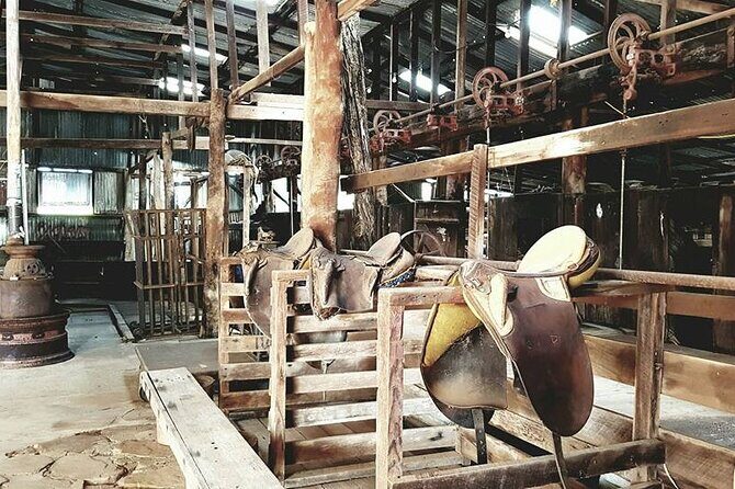 Historic Homestead Tour with Morning Tea - Who Should Consider This Tour?