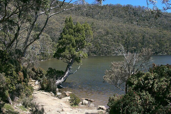 Hobart Adventurer Day Tour | Amazing Views & Native Wildlife - What the Tour Really Offers
