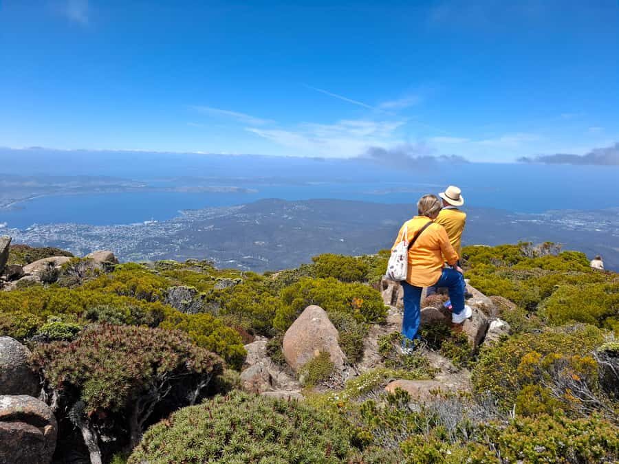 Hobart Highlights & Mount Wellington Shore Excursion - What Makes This Tour Valuable?