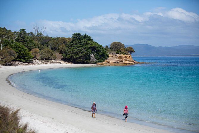 Hobart: Maria Island National Park - Nature & Wildlife Adventure - What the Reviews Say: Honest Perspectives