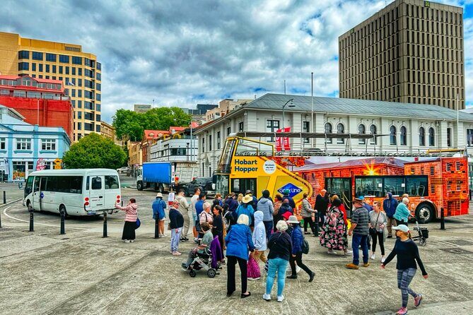 Hobart Shore Excursion-Open Top City Explorer Tour 1.30pm - What Travelers Say and Why It Matters