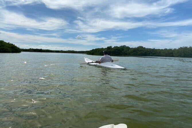 Holbox : Kayaking through Mangroves - Practical Details and Considerations
