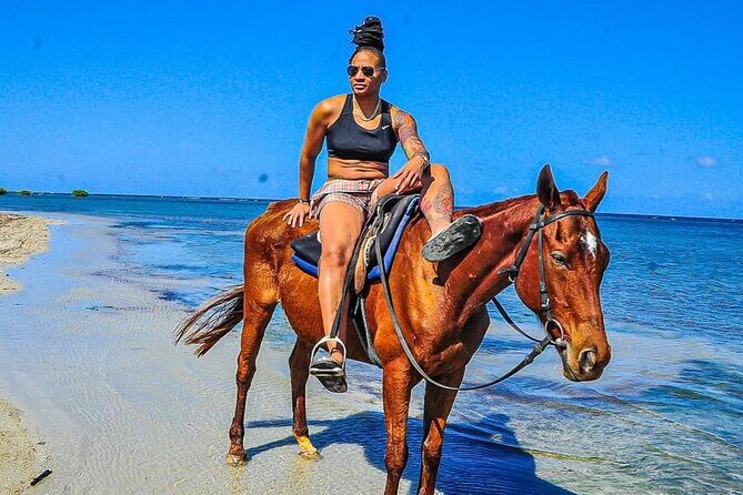 Horseback Ride & Swim Jamaica/Montego Bay - The Experience: What Travelers Say