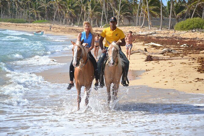 Horseback Riding Adventure Punta Cana - Who Is This Tour Best For?