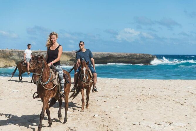 Horseback Riding Wariruri Beach Tour in Aruba - The Itinerary in Detail