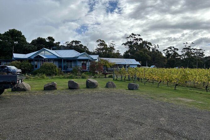 Huon Valley Wine and Cider Tour - Hobart and SE Tasmania - What Makes This Tour Stand Out?
