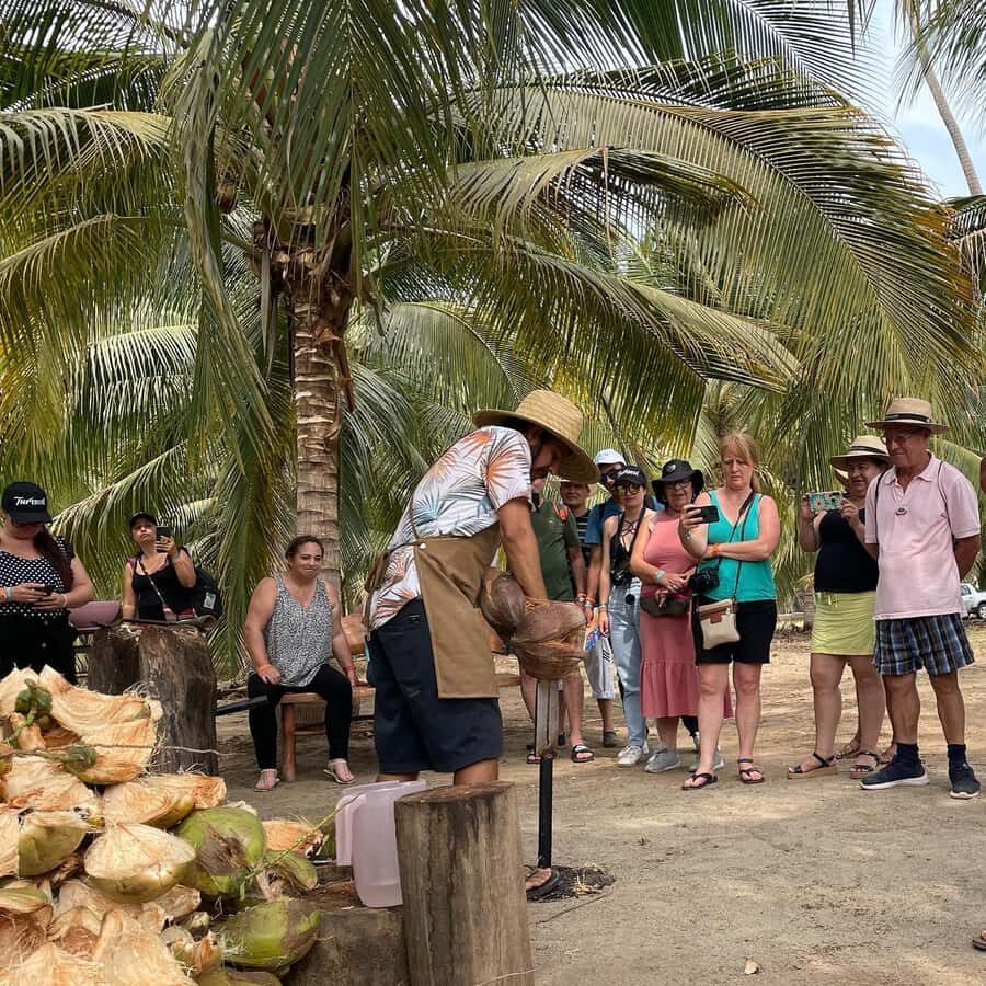 Ixtapa Zihuatanejo Archaeological Zone and Coconut Museum Tour - The Itinerary: What You’ll Experience