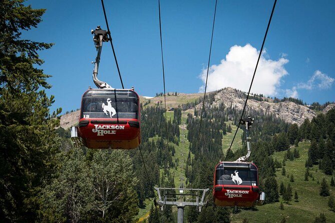 Jackson Hole Summer Aerial Tram Sightseeing - The Itinerary: What to Expect