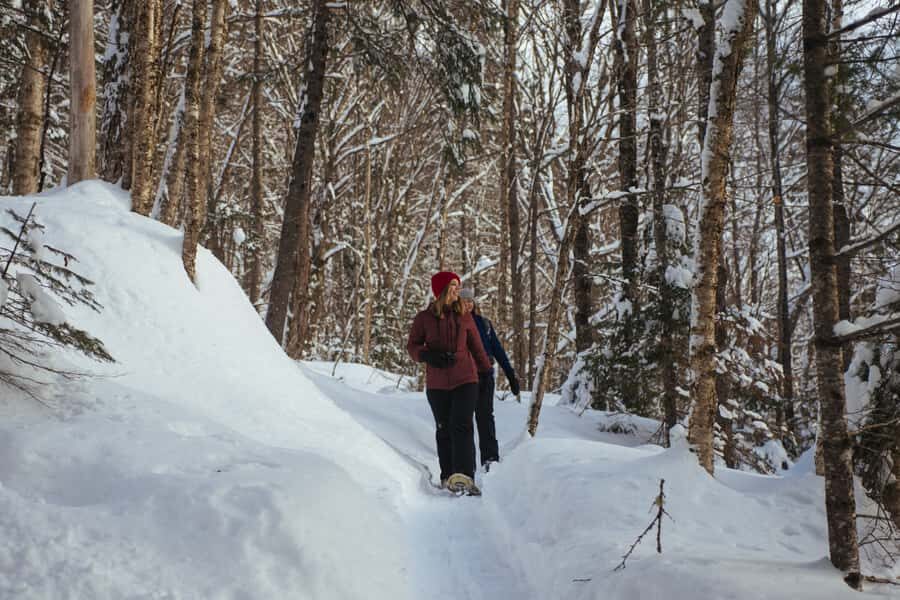 Jacques-Cartier: National Park Entry Ticket & Snowshoeing - Who Will Love This Experience?