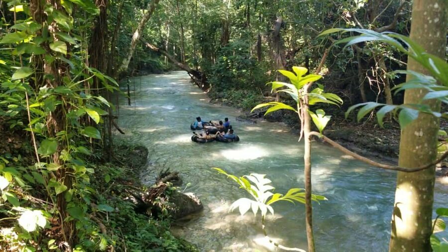 Jamaica's Dunn's River Falls & River Tubing Tour - What Do the Reviews Say?