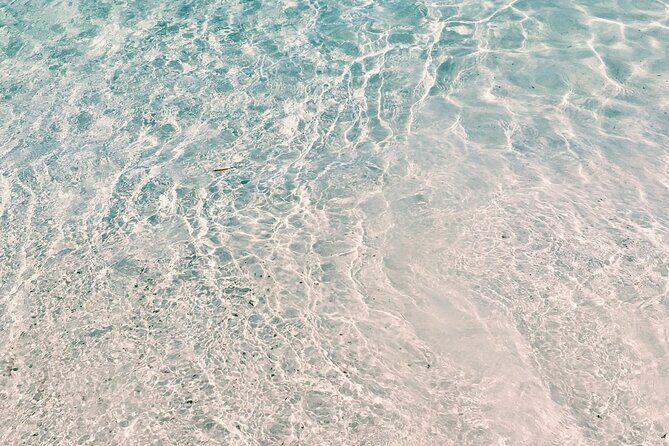 Jervis Bay, Kiama & Kangaroo Valley Day Trip From Sydney-PVT - The Full Itinerary Breakdown