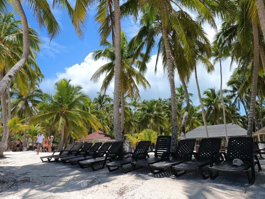 Juan Dolio: Saona Island Full-Day Tour with Lunch & Drinks - What Travelers Are Saying