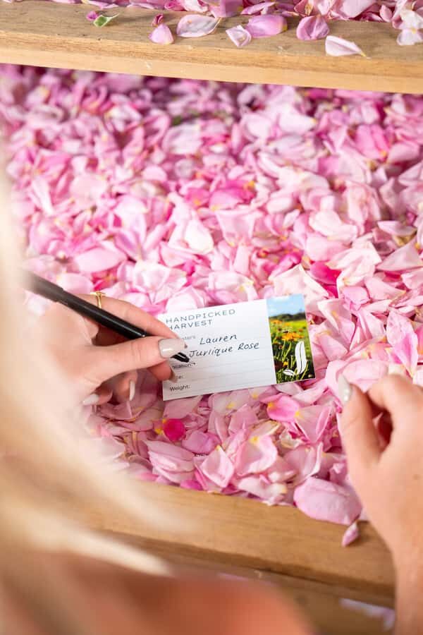 Jurlique Handpicked Masterclass - Why You Should Consider This Tour