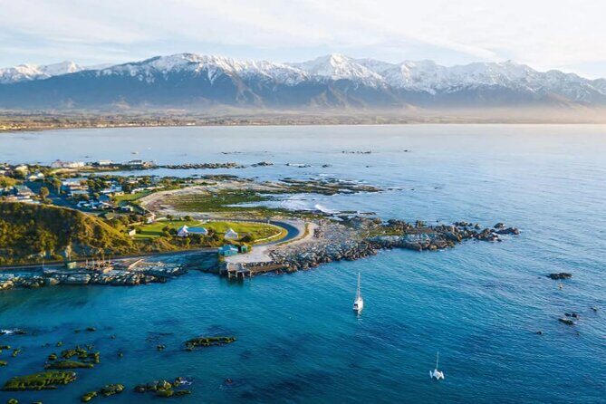 Kaikoura Day Tour From Christchurch - Why This Tour Stands Out