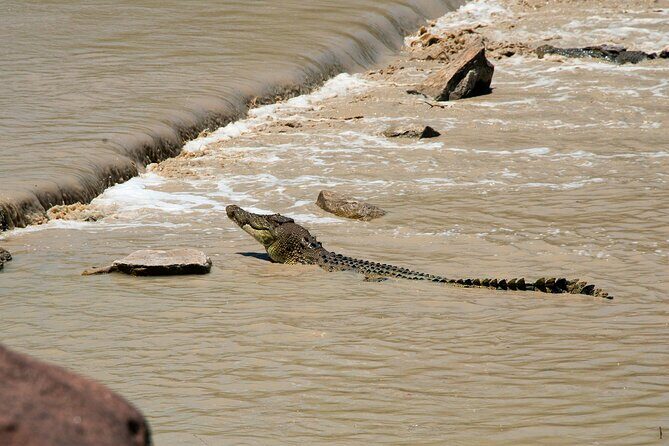 Kakadu National Park Full Day Tour + 2 Hour Cultural River Cruise - The Tour’s Practical Side: What You Need to Know