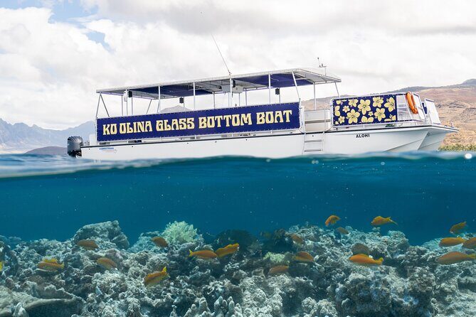 Ko Olina Glass Bottom Boat Tour - A Deep Dive into the Experience