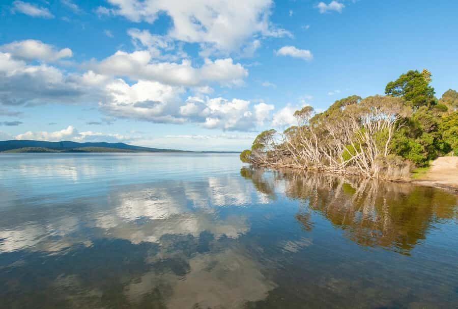 Koalas, Kangaroos and Lyrebirds - Practical Details and Value