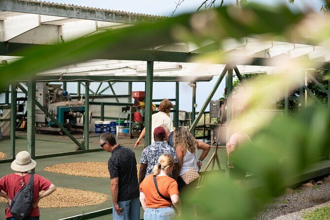 Kona Coffee Farm Tour - Who Is This Tour Best Suited For?