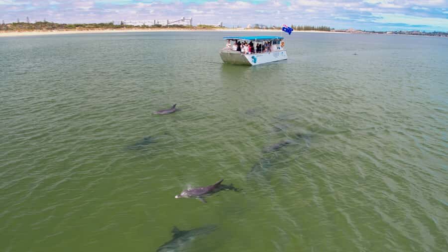 Koombana Bay: Dolphin Eco Cruise - Who Will Love This Experience?