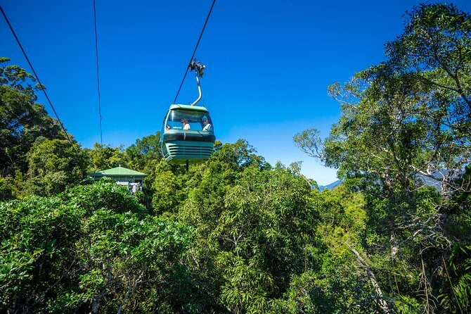 Kuranda Day Tour, TKS-RFS CLASSIC GOLD PLUS 0930 - What Travelers Say About This Tour