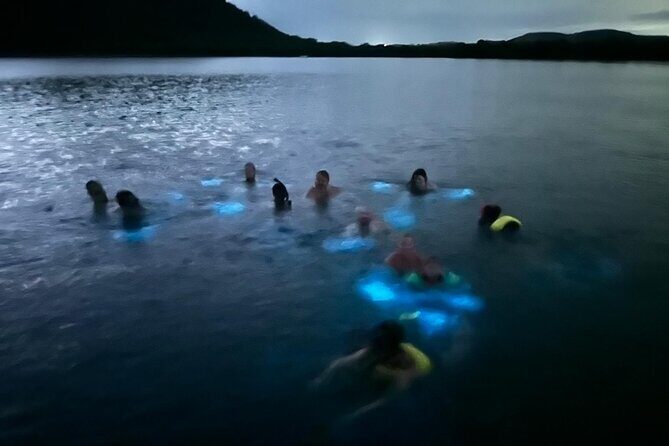 La Parguera Bio Bay Boat Ride and Swimming w/ San Juan Transport - What the Reviews Say