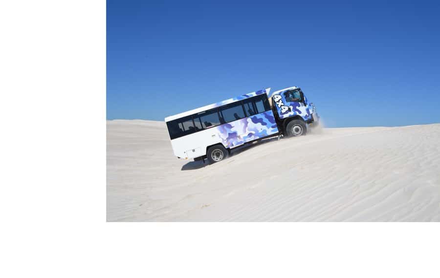 Lancelin 4WD Adventure & Sandboarding Experience - Authentic Feedback from Travelers
