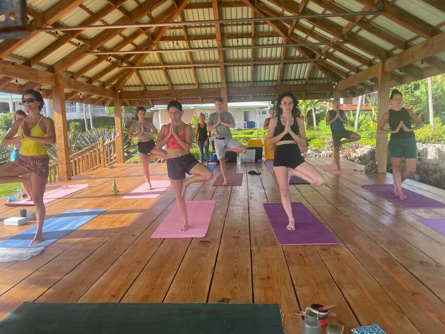 Las Galeras: Morning Yoga or Aerial Yoga at Villa Serena - What to Expect at Villa Serena’s Yoga Session