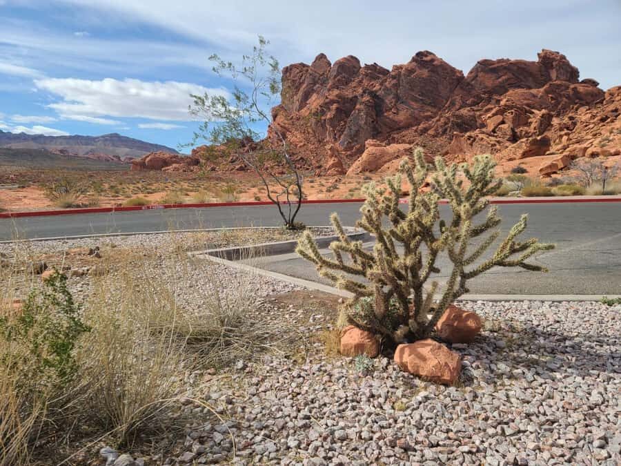 Las Vegas: Valley of Fire and Red Rock Canyon Tour - What Travelers Say