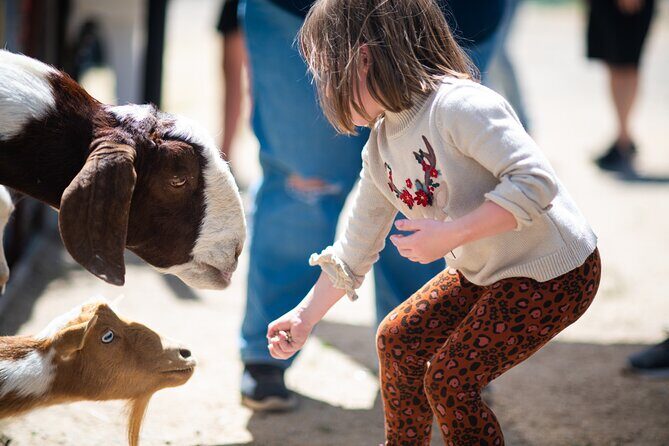 Lavender Farm U-Pick Day Pass - Why This Experience Works