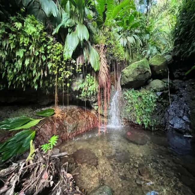 Lawyer Stephen Hike with Waterfall and Cave Hike - Deep Dive into the Experience