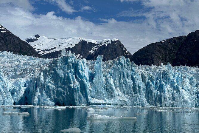 LeConte Glacier Tour and Norwegian Town Exploration - Why This Tour Is Worth Considering