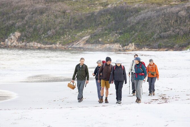 Lighting the Sound Uredale Twilight Hike - A Closer Look at the Itinerary