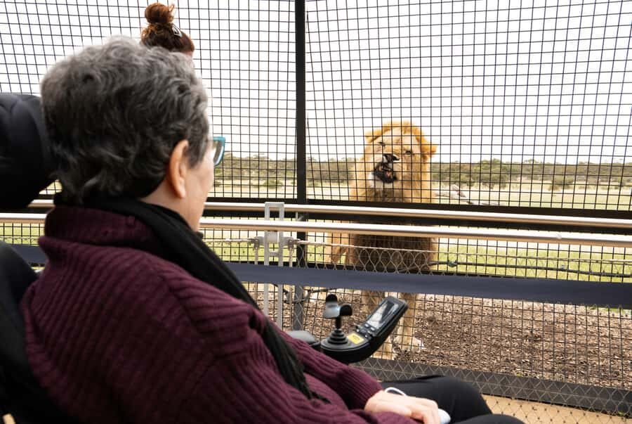 Lions 360 Experience and a Day at Monarto Safari Park - What Makes This Experience Special?