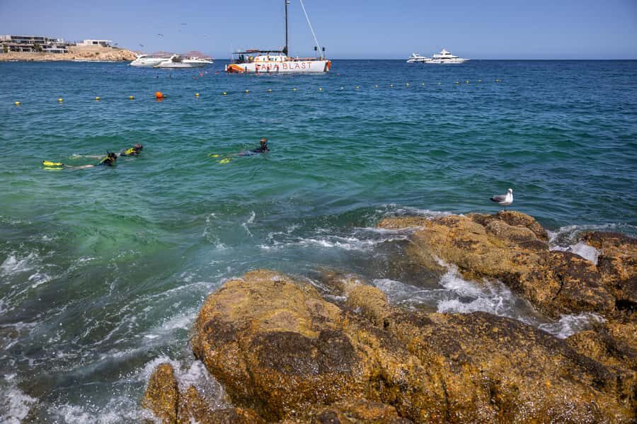 Los Cabos: Guided Snorkeling Tour with Transportation - How Does It Compare Value-Wise?