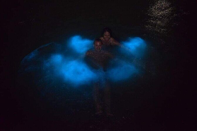 Luminous Lagoon Night Tour - An In-Depth Look at the Luminous Lagoon Night Tour