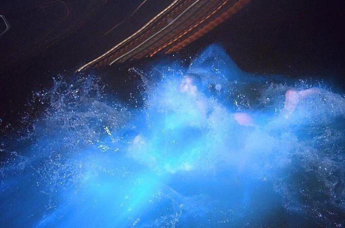Luminous Lagoon Night Tour from Montego Bay - Things to Keep in Mind
