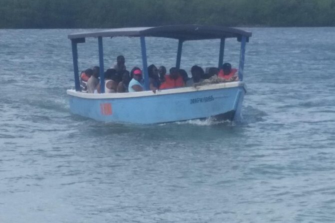 Luminous Lagoon Tour from Montego Bay & Rosehall Hotels - What the Reviews Say