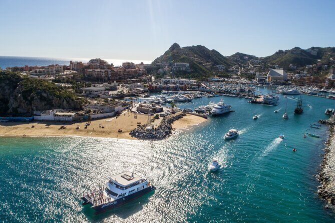 Luxury Whale Watching Dinner Cruise in Cabo - Final Thoughts: Balancing Expectations and Reality