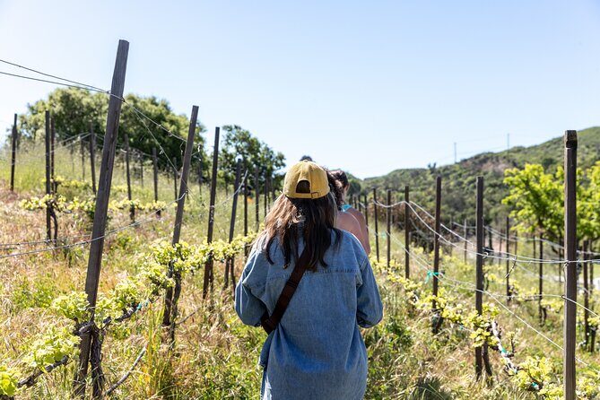 Malibu: Guided Vineyard Hike with Photo Stops and Wine - The Authenticity and Unique Features