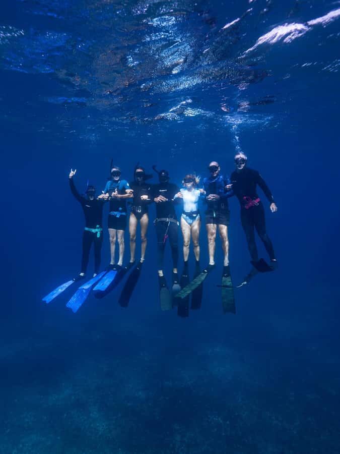 Manly: Beginner Freediving: Breath-Hold & Ocean Exploration - Why This Tour Is a Great Choice