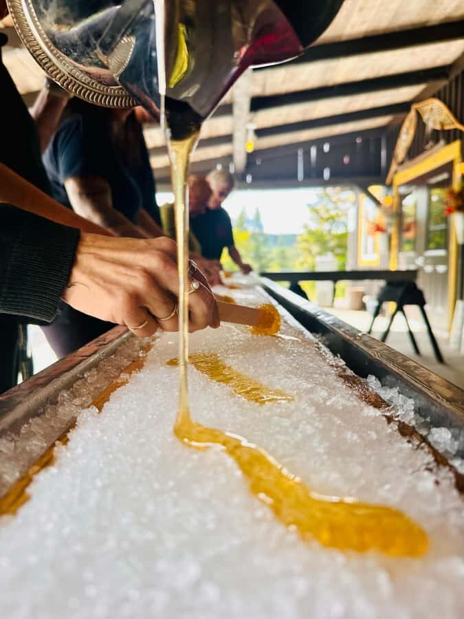 Maple Syrup Museum Tour with Tastings - What’s Included and How It Works