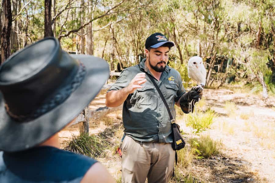 Margaret River: Birds of Prey Encounter and Forest Walk - What You Can Expect from the Margaret River Birds of Prey Tour