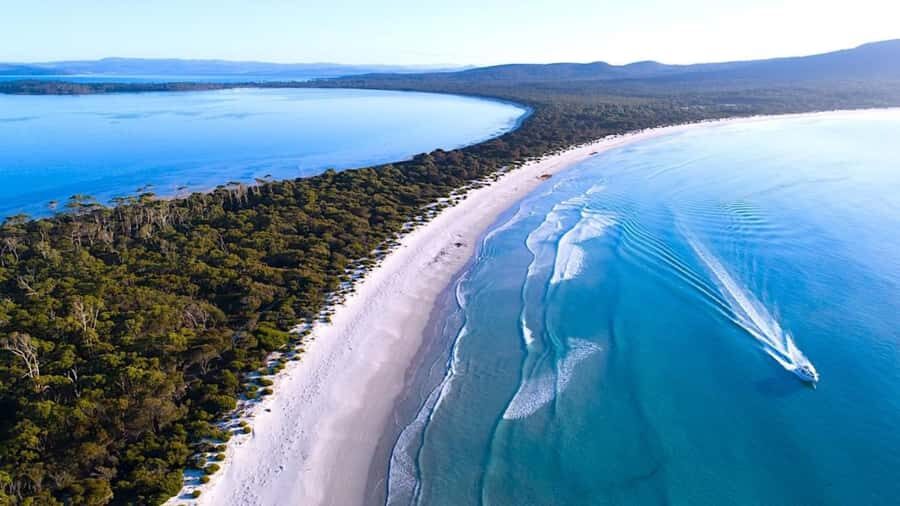 Maria Island 3 hours and 30 mins Scenic Cruise - Who Should Consider This Cruise?