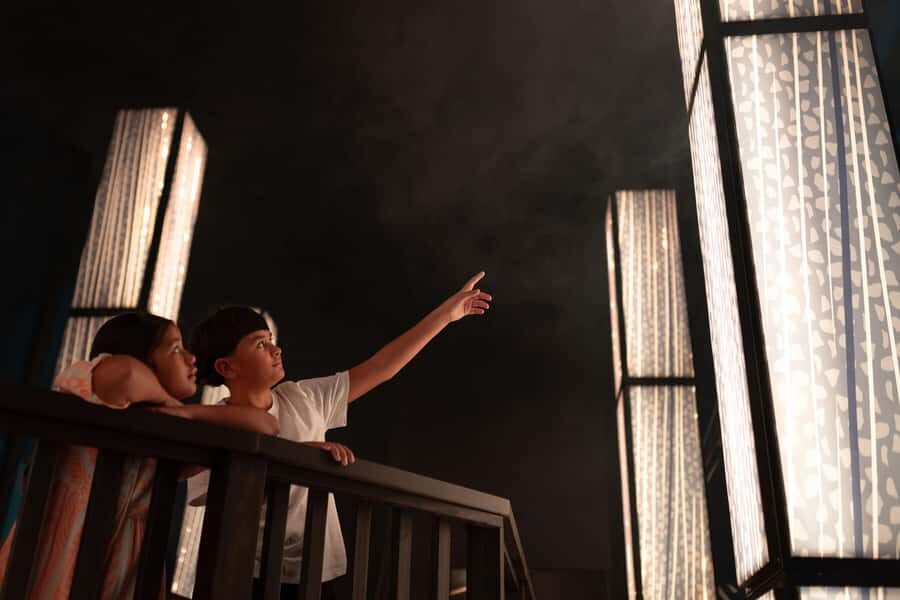 Matakohe: The Kauri Museum Entry Ticket - Who Should Visit The Kauri Museum?